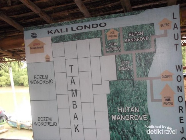 Surabaya Nggak Cuma Mal, Coba ke Hutan Bakau