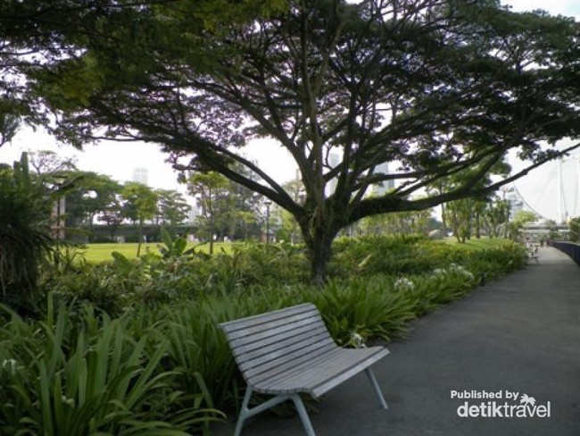 Tahun Baru di Singapura, Jangan Lupa ke Garden by the Bay