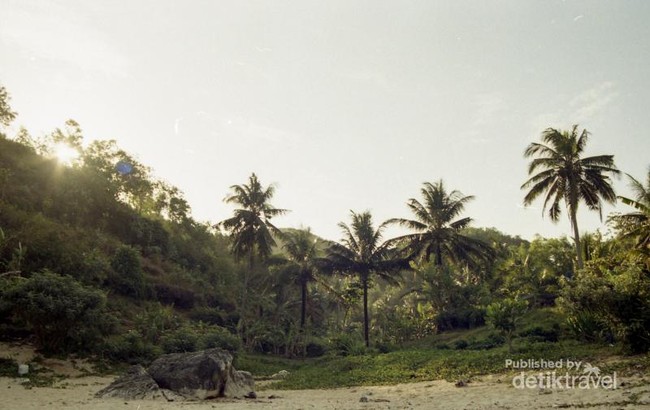 Tak Ada Keraguan akan Cantiknya Pantai Butuh Gunungkidul Jogja