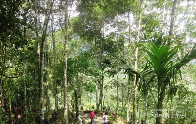 Tak Cuma Pantai, Bali Juga Punya Air Terjun Cantik!