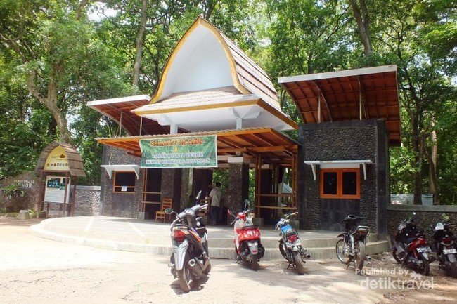 Tak Hanya Pantai, Lombok Punya Hutan Lemor yang Asri