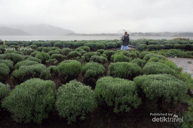 Taman Anti Mainstream di Jepang