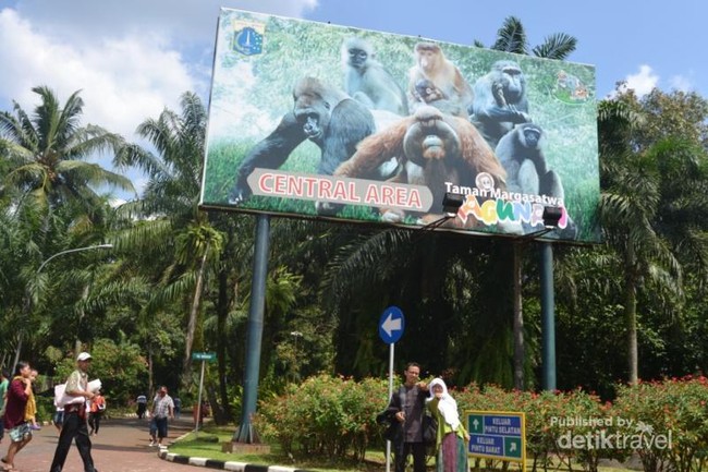 Tamasya Libur Sekolah ke Kebun Binatang Ragunan