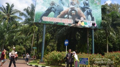Tamasya Libur Sekolah ke Kebun Binatang Ragunan