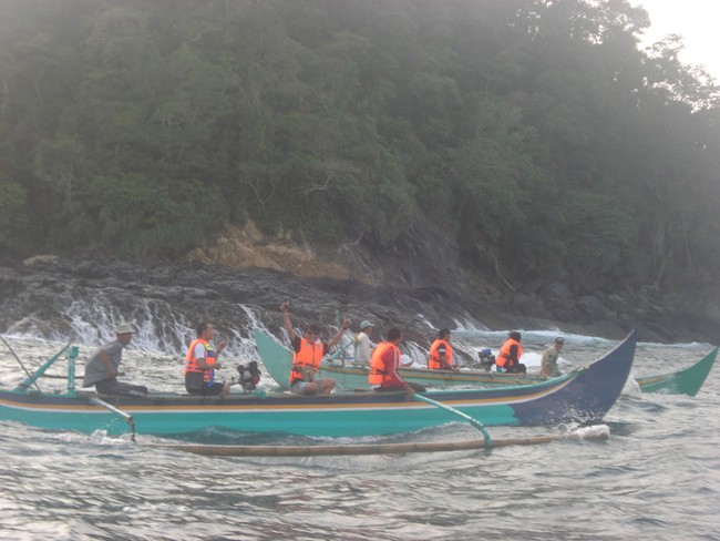 Teluk Kiluan, Habitat Terbesar Lumba-Lumba di Dunia