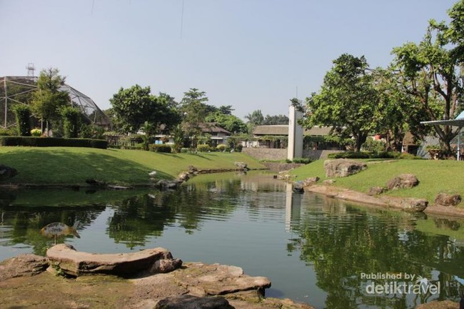 Tempat Asyik Untuk Bird Watching di Jakarta