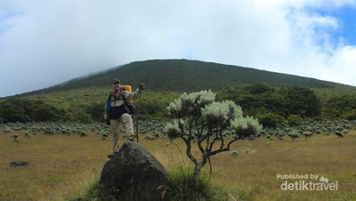 Terpesona Alun-alun Surya Kencana