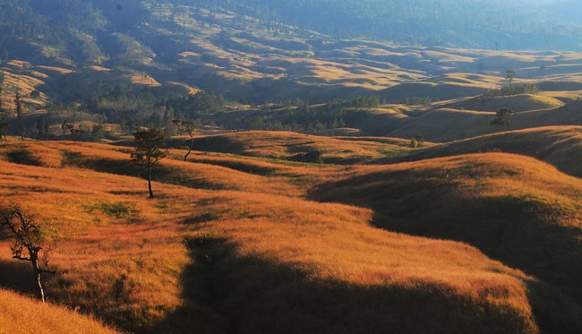 Tertegun Kecantikan Rinjani, Primadona NTB