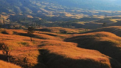 Tertegun Kecantikan Rinjani, Primadona NTB