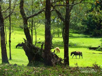 Timor Tengah Selatan yang Bikin Rindu