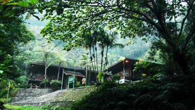 Warna-Warni dari Taman Nasional Halimun Salak