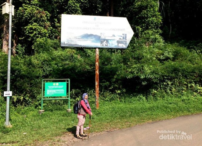 Weekend Ini, Yuk Jelajahi Hutan Gunung Halimun