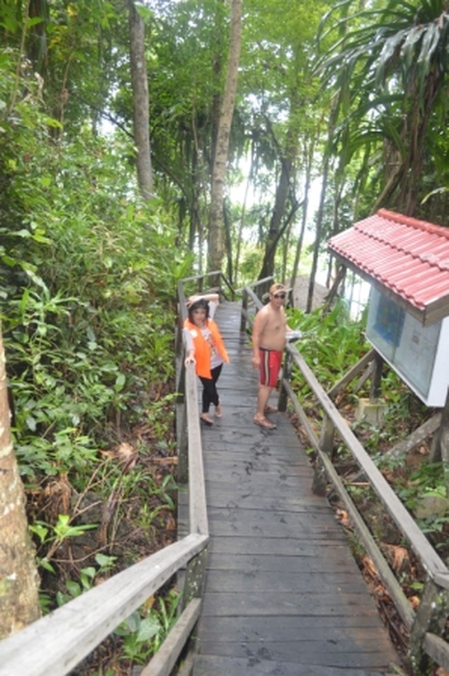 Wow! Di Kakaban Ada Danau Atol dan Ubur-ubur