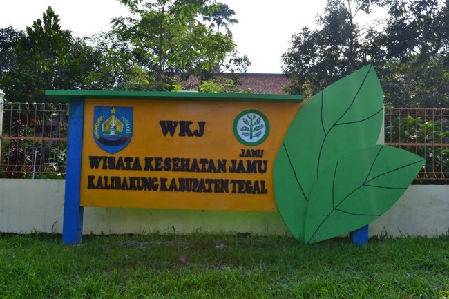 Yang Baru dari Tegal: Wisata Jamu Kalibakung