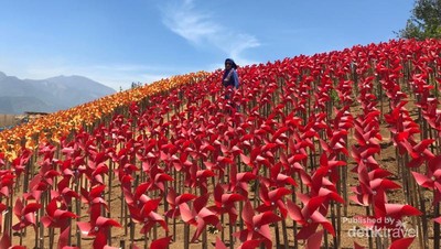 Yang Baru di Kota Batu, Ribuan Kinciran Warna-warni
