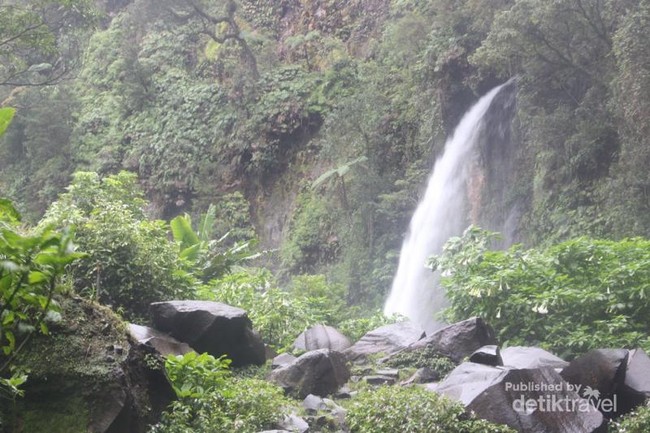 Yuk Habiskan Weekend di Gunung Gede Pangrango