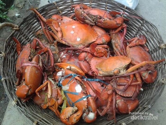 Yuk Liburan ke Tarakan