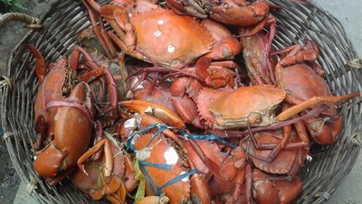 Yuk Liburan ke Tarakan
