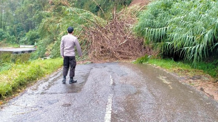 jalur akses utama menuju dieng tertutup longsor, 8/2/2021