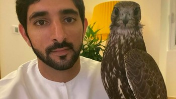 Pangeran yang dikenal tampan ini memang belakangan sangat perhatian pada dunia startup. Kemampuan Dubai dalam menyediakan kondisi berorientasi pada pertumbuhan untuk startup teknologi, tervalidasi dengan fakta bahwa salah satu perusahaan tersukses di dunia seperti Telegram memilih beroperasi di sini, kata Sheikh Hamdan. Foto: Instagram