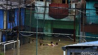 Banjir yang merendam kawasan itu pun diketahui terjadi sejak Minggu (7/2) kemarin. Sejumlah wilayah RT 2, RT 3, RT 4, dan RT 5 terdampak banjir tersebut.