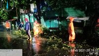 Pohon Tumbang Di Beberapa Lokasi Di Jakarta Saat Hujan Disertai Angin