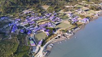 Pulau Banwol memiliki 400 bangunan yang dicat berwarna ungu.  (Shinan County Office)
