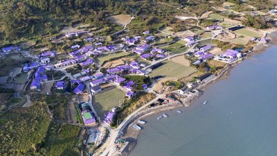 Pulau Instagramable Serba Ungu di Korea Selatan