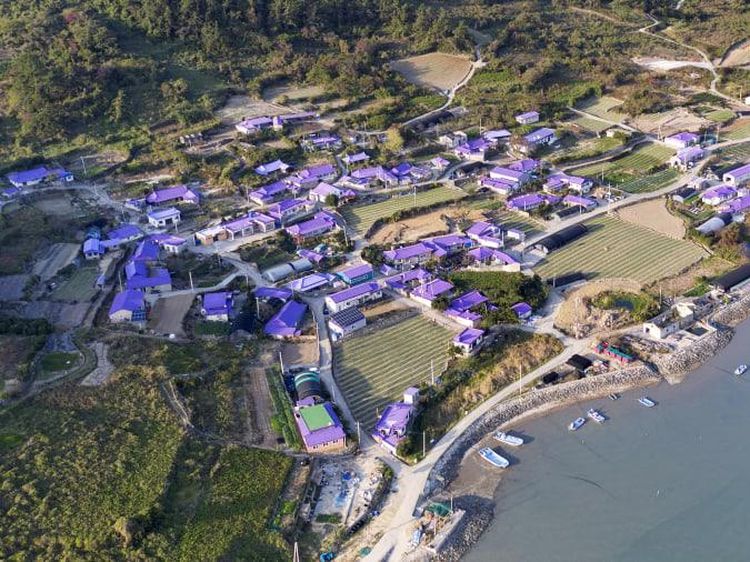 Pulau Instagramable Serba Ungu di Korea Selatan