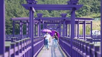 Ada spot instagramable berupa jembatan besar yang menghubungkan Pulau Banwol dan Pulau Parkji. (Shinan County Office)