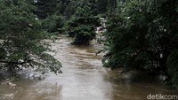 Rumah-rumah warga yang terendam banjir itu pun diketahui terjadi akibat luapan air Sungai Ciliwung.