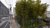 Hanya terlepas dari segala legenda itu, traveler bisa mencapainya dengan berjalan kaki dari Stasiun Moto-Yawata dari jalur Chuo-Sobu dan Toei Shinjuku (istimewa)