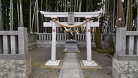 Di salah satu sisinya juga dapat dijumpai gerbang torii khas Jepang serta sebuah altar mini bernama hokora. Secara teknis, Yawata no Yabushirazu bukan merupakan hutan yang ramai seperti pada umumnya (istimewa)