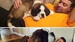 Potret Anjing Bergaya Before-After yang Bikin Gemas