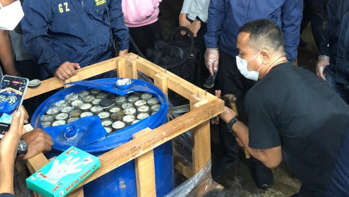 BNN bongkar gudang ganja di Parung, Bogor