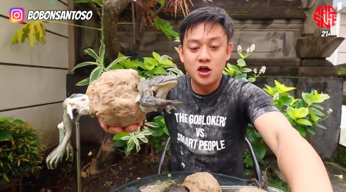 Bobon Santoso Bikin Bakso Kodok Banteng, Netizen: Ampun Bang Jago! Bobon Santoso Bikin Bakso Kodok Banteng, Netizen: Ampun Bang Jago!