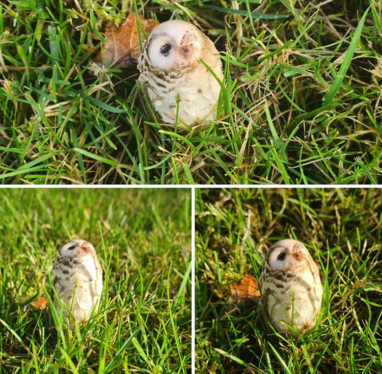 Foto Fenomena Pareidolia