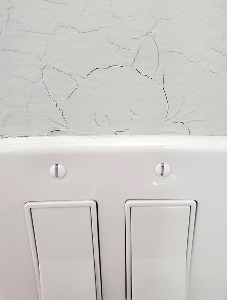 Foto Fenomena Pareidolia