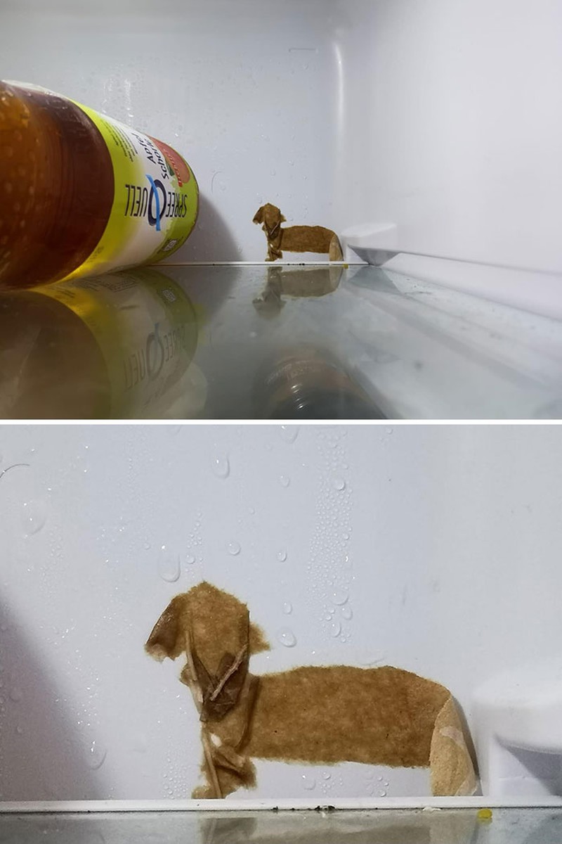 Foto Fenomena Pareidolia
