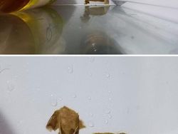 Hati-hati Mata Terkecoh, Ini Foto Fenomena Pareidolia