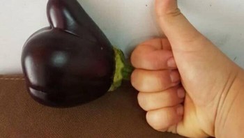 Terong yang bentuknya mirip tangan. Foto: Bored Panda