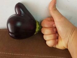 Hati-hati Mata Terkecoh, Ini Foto Fenomena Pareidolia