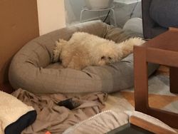 Hati-hati Mata Terkecoh, Ini Foto Fenomena Pareidolia