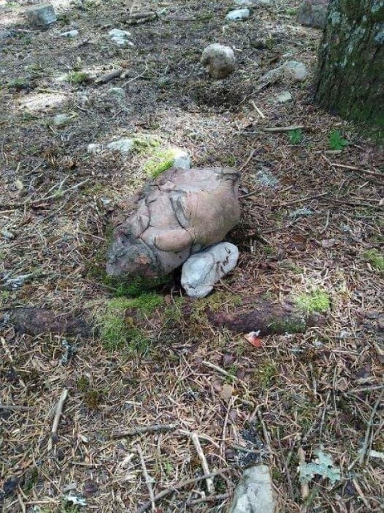 Foto Fenomena Pareidolia