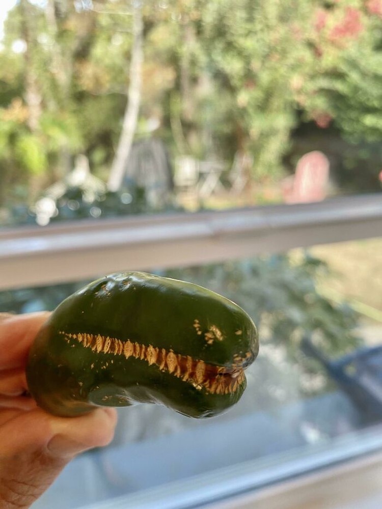 Foto Fenomena Pareidolia