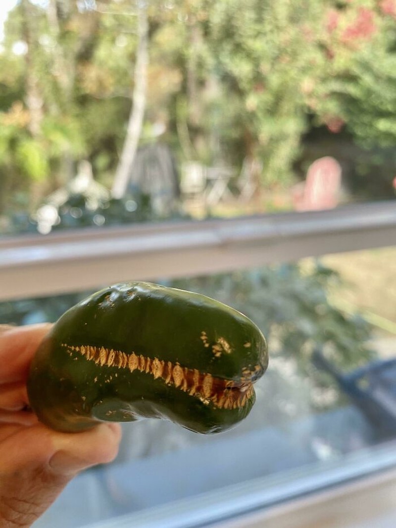 Foto Fenomena Pareidolia