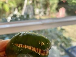 Hati-hati Mata Terkecoh, Ini Foto Fenomena Pareidolia