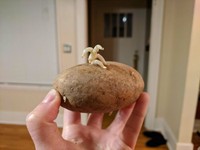 Foto Fenomena Pareidolia