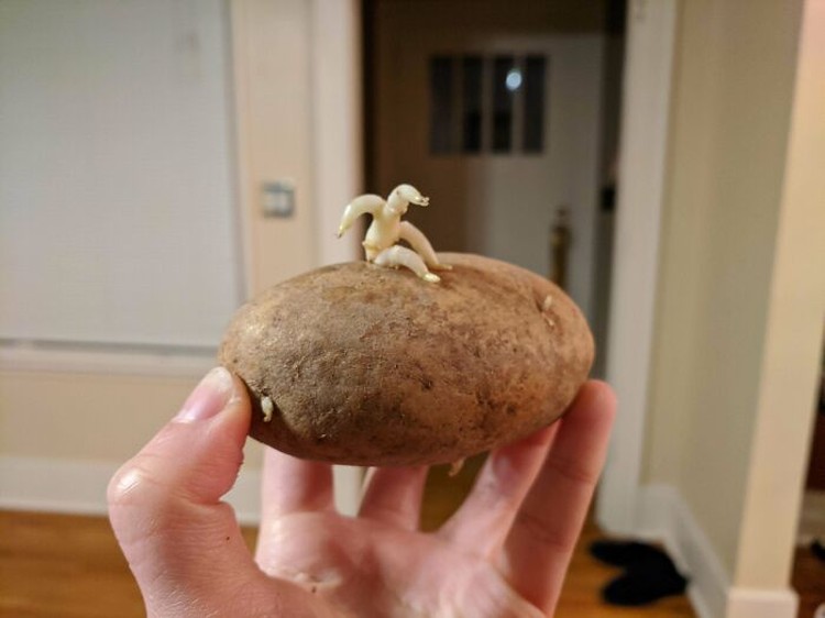 Foto Fenomena Pareidolia Foto Fenomena Pareidolia