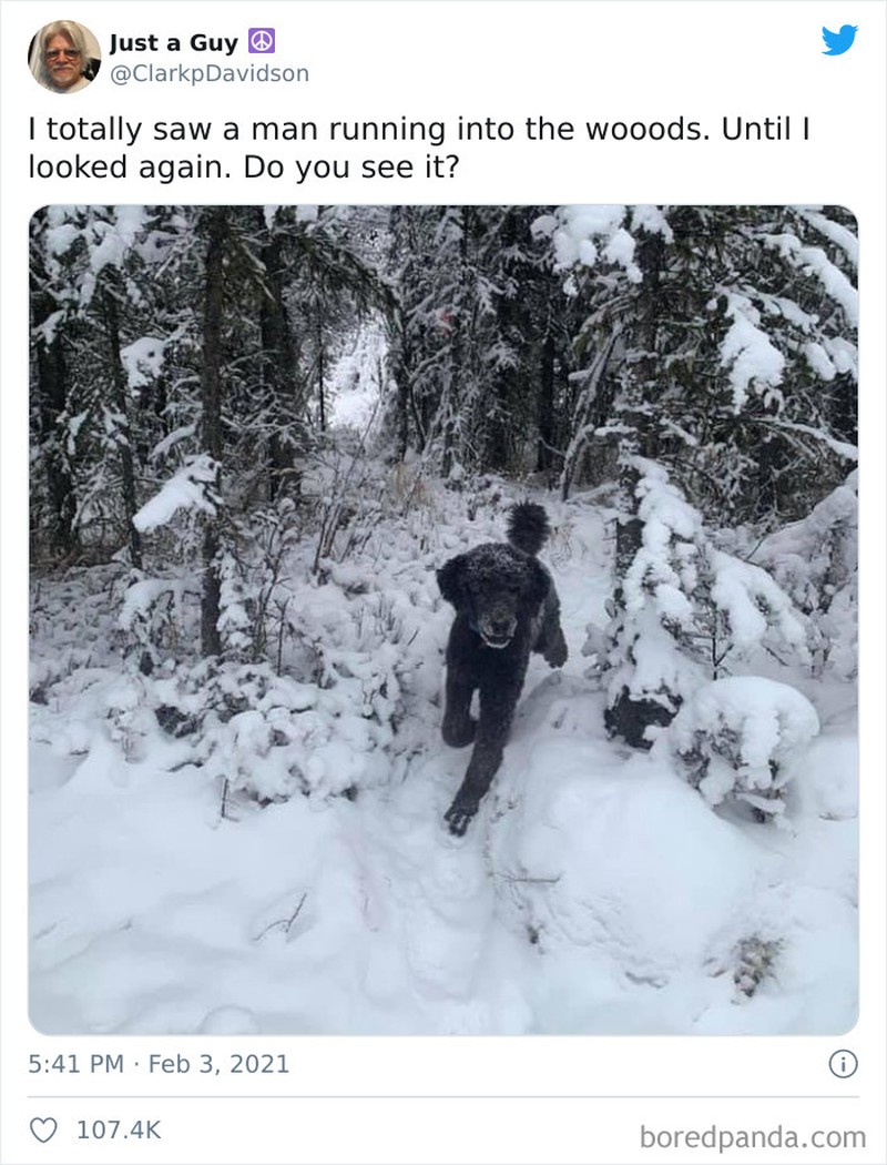 Foto Fenomena Pareidolia